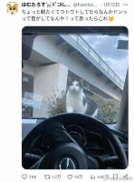 开着车,正当我有点犯困的时候,突然听到了咚的一声…