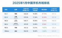 2025年国产手机市场啥样?四大品牌赢麻了,但哪款最受欢迎呢?