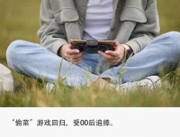 “偷菜热”卷土重来:00后上头,催生氪金暴利生意