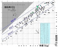 存储一个人脑，耗尽地球所有硬盘都不够……