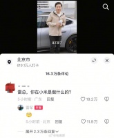 网友太会整活儿了，一句话给雷军问懵了