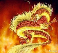 2025年第一季度，赚钱停不下来，日子穷不起来的四个生肖