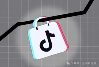 TikTok内部人士:中国区领导层严厉批评了美国电商团队
