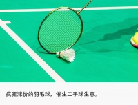 涨势超金价,羽毛球回收有多暴利?