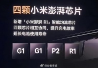 小米做自研芯片能“成功”吗?