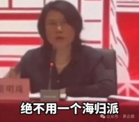 董明珠的“间谍论”与“怼小米”:舆论风暴与心理迷雾