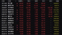 王兴兴，重磅发声！这个板块，大面积涨停！