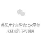 马斯克：特斯拉和xAI将扩大芯片采购