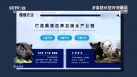 万元认养一头猪,200天就能赚6000元?起底“云养殖”里的骗局