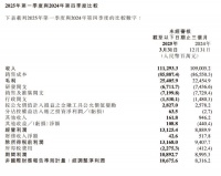 “单季百亿净利”背后的小米新飞轮