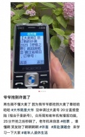 “爷爷抢到了”!老年机成抢票利器?大麦网回应