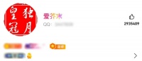 256级!全球首个满级QQ诞生