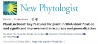 整合多源植物转录组数据,山东理工大学等构建PlantLncBoost模型,跨物种lncRNA预测准确率最高达96%