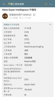 Meta薪资接连曝光，AI人才百万年薪遍地走