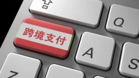 跨境支付独角兽，手持稀缺双牌照，业务横跨239国，有望上涨700%