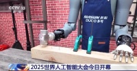 2025世界人工智能大会今日开幕 百余款首发首秀 规模创历届之最