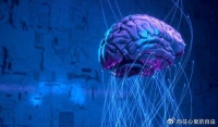脑机接口第一龙头，中科院重仓8682万股。接下来有望迎来1000%大涨！