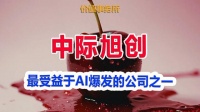涨疯了，业绩持续狂暴，最受益于AI爆发和英伟达的公司，没有之一