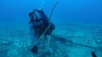 微软：红海多条国际海底电缆被切断