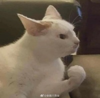 中国RGB技术全球率先量产，高端显示屏加速普及