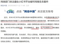 刚刚，小红书被查！估值已达310亿美元，吃明星流量翻车了