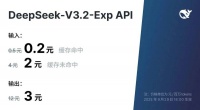 DeepSeek新发布