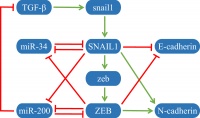 Nature子刊：非线性动力学最新论文合集