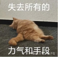 宇树机器人被曝漏洞，机器人之间可相互感染，官方火速回应