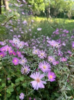 朋友圈隐形分享引热议，私密转公开成新趋势