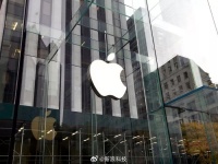 库克称中国创新对苹果至关重要，点赞中国文化出海新三样
