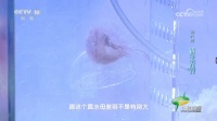 西工大新成果,仅重一两!