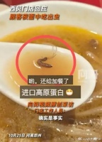 西贝“活虫门”爆发,神反转看傻全网!