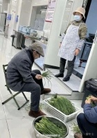 刘强东父母现身京东食堂帮厨摘菜煮饺子