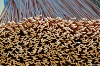 董明珠：你一年电费5000元 铝代铜后电费可能飙至1万元！