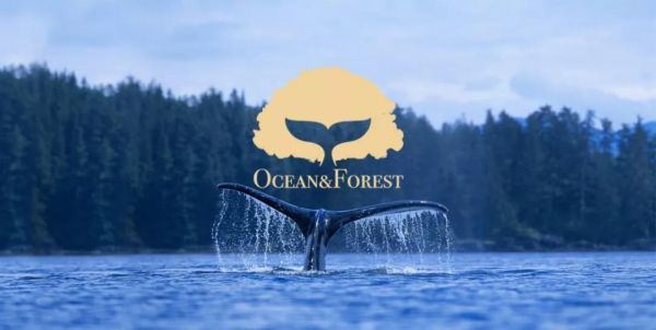 瞄准洗护消费升级，「Ocean&Forest森林海洋」用食用级原材料做国货精细洗护品牌
