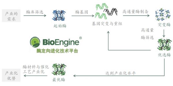 构建“酶”定向进化平台BioEngine，「酶赛生物」为客户定制酶催化解决方案
