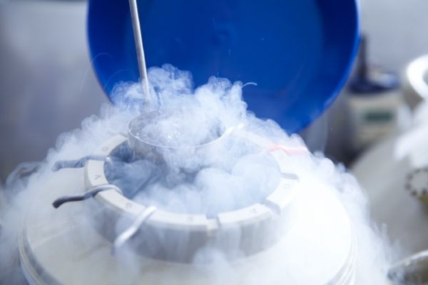 冷冻免疫细胞等待未来治疗癌症，这事靠谱吗？