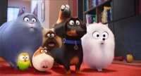 美国宠物电商启示录：从Pets倒闭到Chewy上市暴涨59%