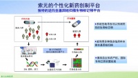 瞄准First-in-Class创新药,「索元生物」获得3亿元B轮融资