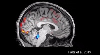 熬夜变傻有科学依据,人类睡觉时会被“洗脑”,科学家首次拍下全程