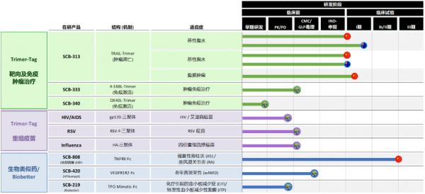 重点聚焦肿瘤和自身免疫性疾病治疗，「三叶草生物」获3.04亿元B轮融资