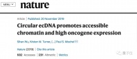 Nature：最强癌基因找到了，居然不在染色体上