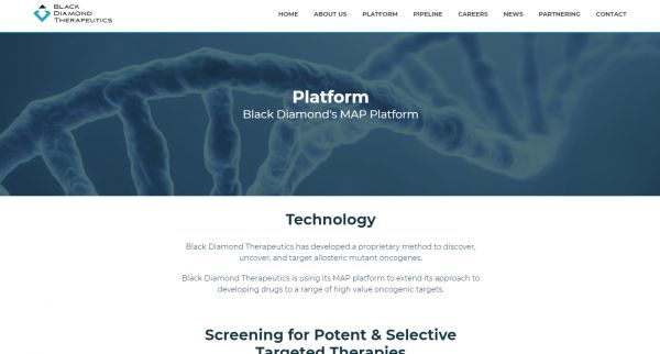 药物研发公司「Black Diamond Therapeutics」获8500万美元C轮融资，探索癌症新疗法
