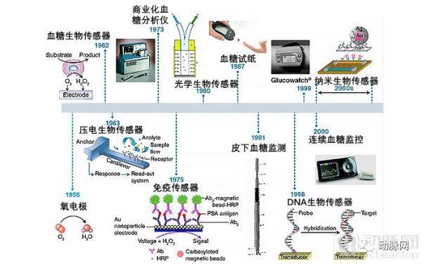 可穿戴生物传感设备：市场规模超25亿美元，可对汗液、泪液及唾液无创取样