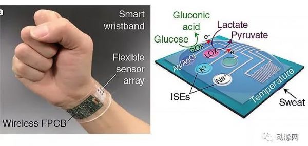可穿戴生物传感设备：市场规模超25亿美元，可对汗液、泪液及唾液无创取样