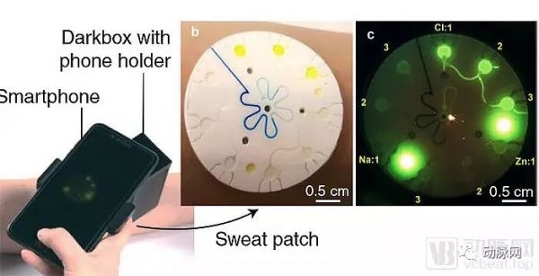 可穿戴生物传感设备：市场规模超25亿美元，可对汗液、泪液及唾液无创取样