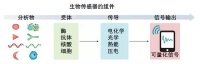 可穿戴生物传感设备：市场规模超25亿美元，可对汗液、泪液及唾液无创取样