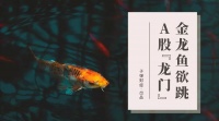金龙鱼欲跳A股“龙门”,外资寻“中国身份”?
