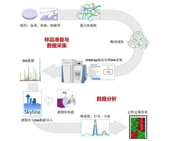 36氪首发 | 专注蛋白质组、代谢组技术服务，「拜谱生物」获千万元级Pre-A轮融资