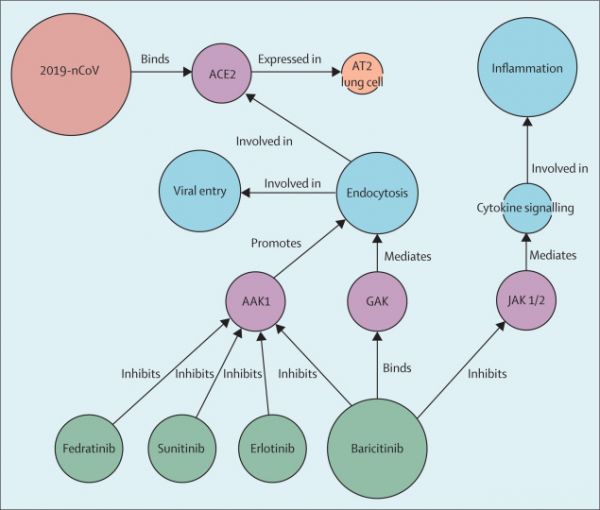 AI帮助检索新冠肺炎对症药，研究发现“巴瑞替尼”存在治疗潜力